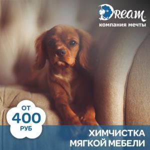 Фотография Dream Group 5