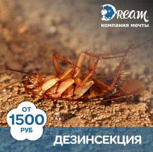 Фотография Dream Group 4